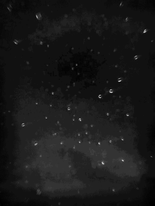 500_664竖版 竖屏gif 动态图 动图