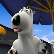 可爱搞笑的倒霉熊头像图片