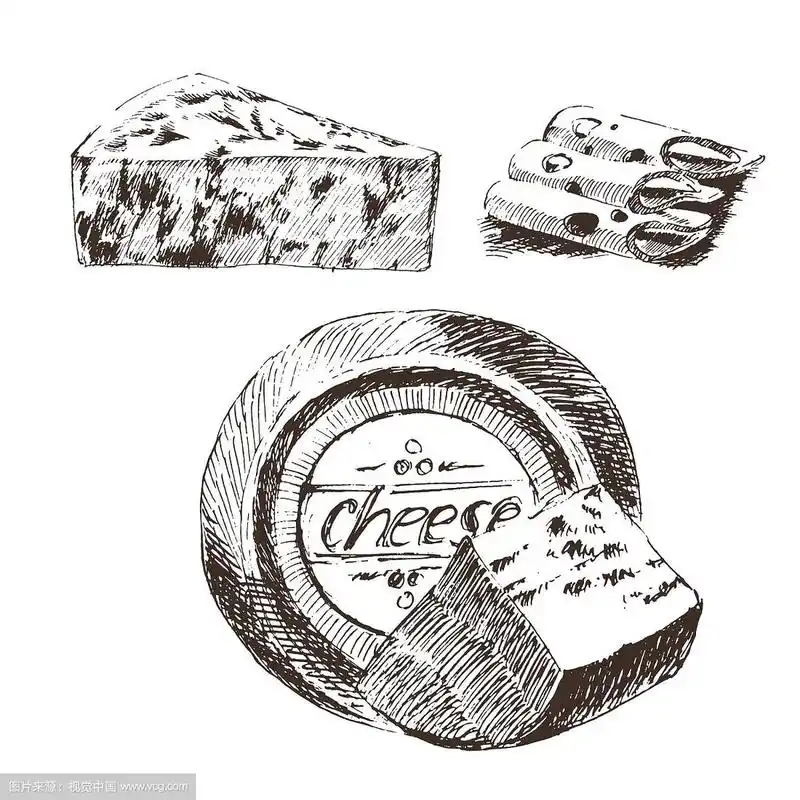 奶酪素描绘图设计师模板