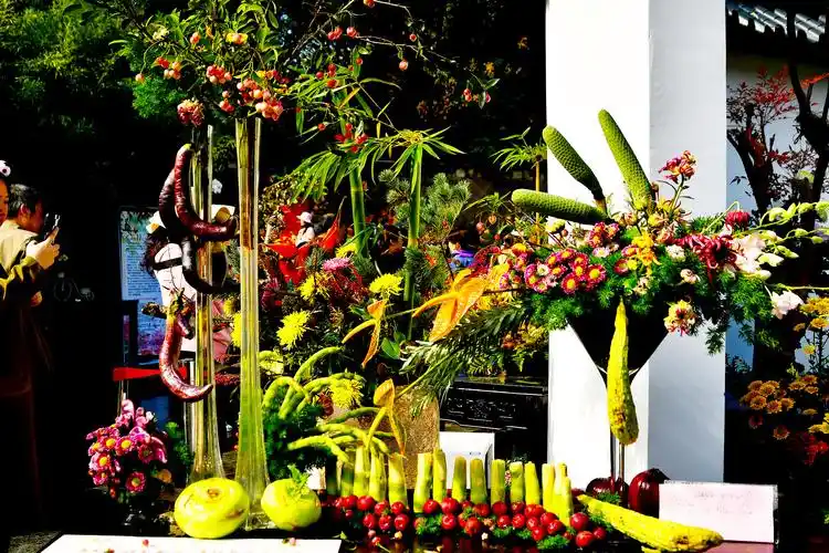 秋菊插花艺术欣赏