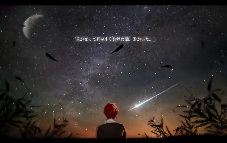 求一张赤羽业在星空下的背影壁纸高清图,求我壁纸高清图!