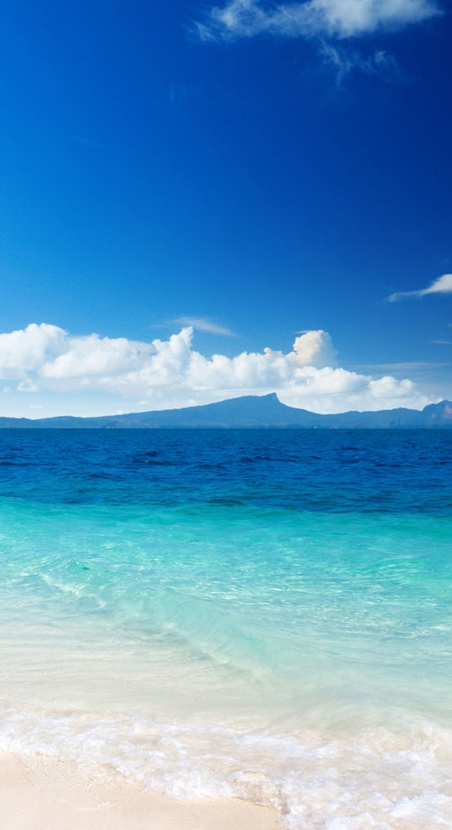 唯美景色高清h5背景