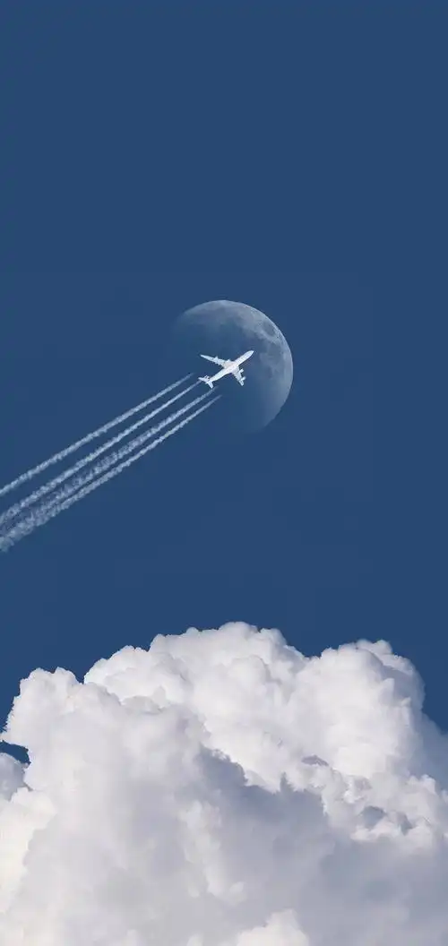 你有哪些压箱好看的壁纸图片