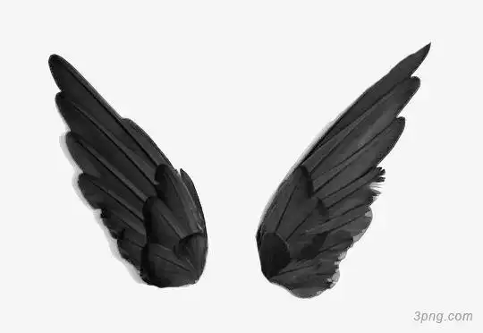 黑色的翅膀png素材透明免抠图片-其他元素