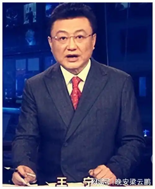 央视主播王宁,幸福生活也有泪,把老婆当女儿宠,对女儿心中有愧|刘纯燕