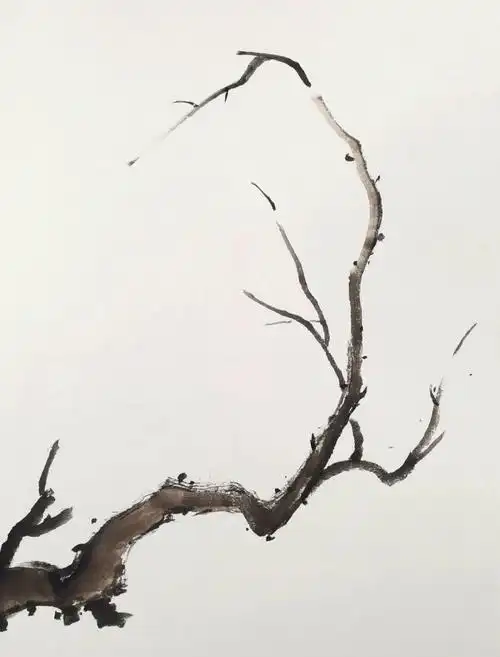 学习笔记国画梅兰竹菊之梅花画法