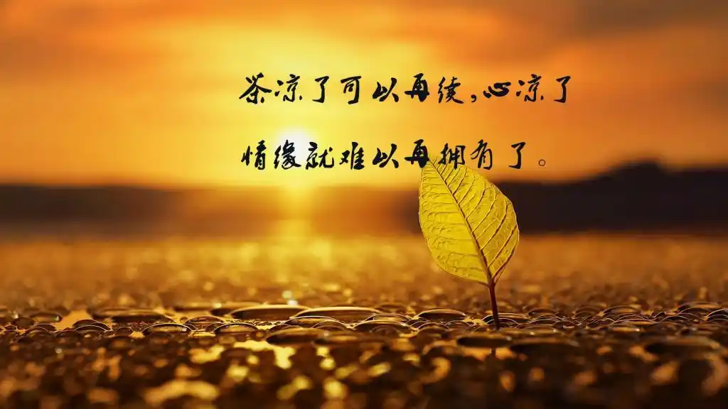 最凉不过人心的说说图片