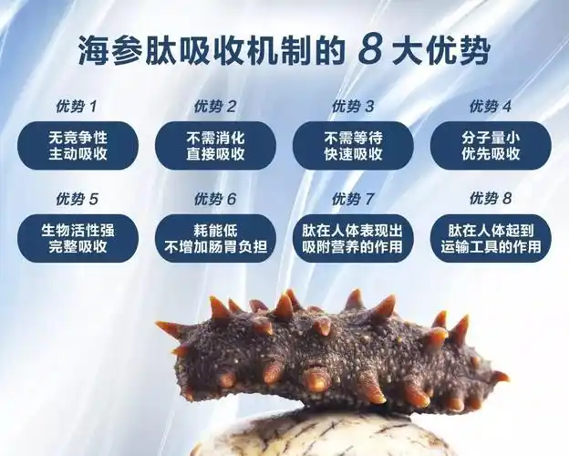 官宣海参肽吸收八大优势锁住营养激发荷尔蒙