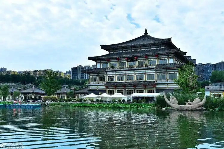 原创西安曲江池遗址公园赏荷花总有那么点遗憾