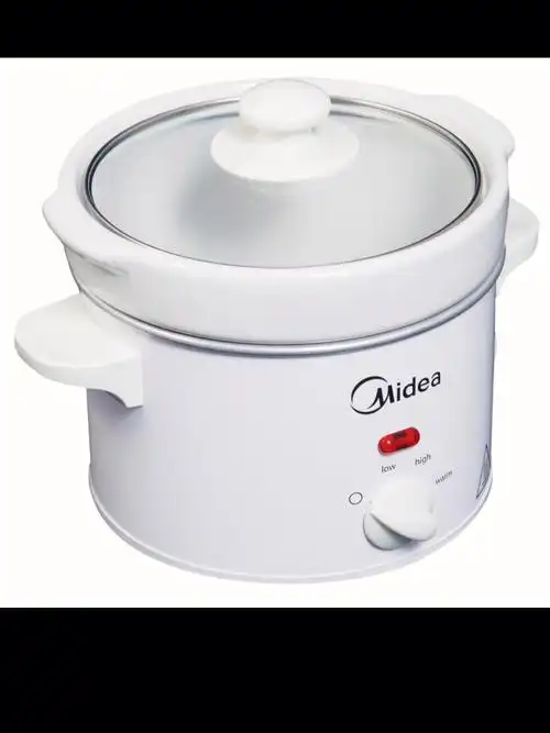 我好像又买不对东西08slowcooker