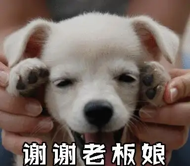 谢谢老板娘gif狗狗gif张大嘴gif眯眼gif可爱gif