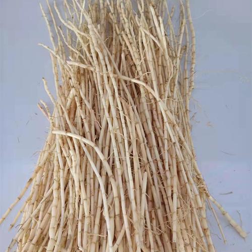 白茅根茅根新鲜野生丝毛根中药材凉茶食品茅草根带皮原生态优质
