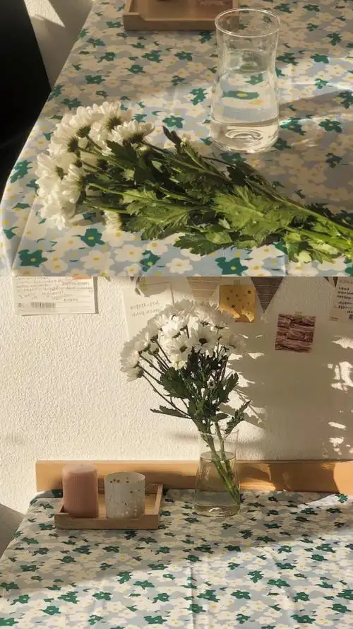 今日份丨ins日系清新 手机壁纸 无水印 "