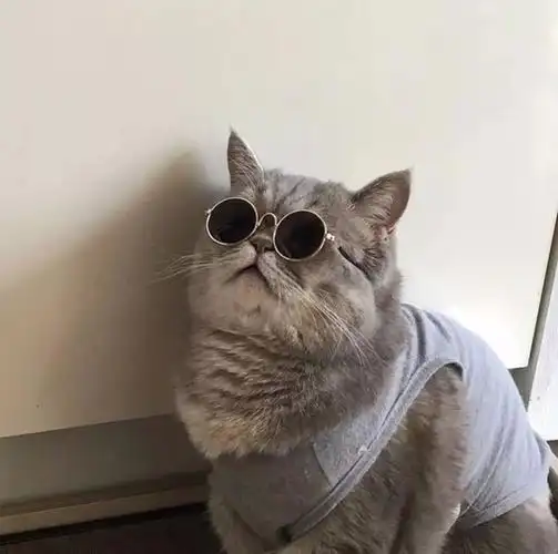 新气象新ins微信头像