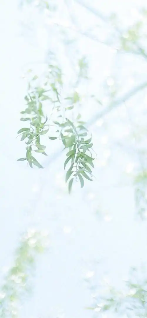 iphonex/xs/max 清新风景背景