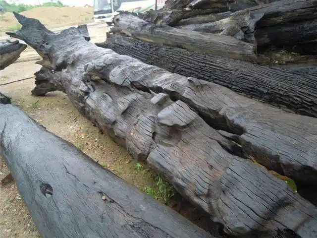 一人,一刀,一木,揭开阴沉木神秘面纱