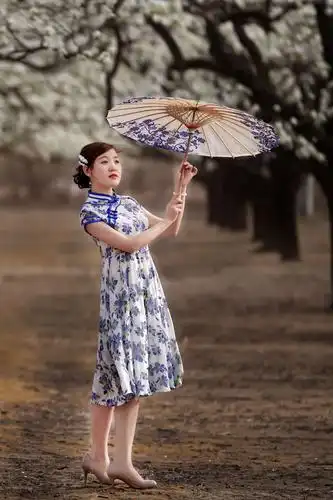 淡然是风,取风的柔软,回眸又是千年.