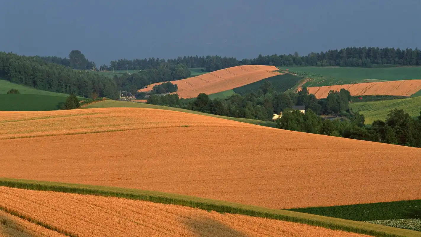秋天的田野高清风景桌面壁纸