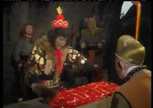 一只很像小黑熊的狗狗,评论:它会偷袈裟吗