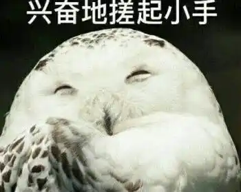 兴奋地搓起小手_小手_兴奋表情