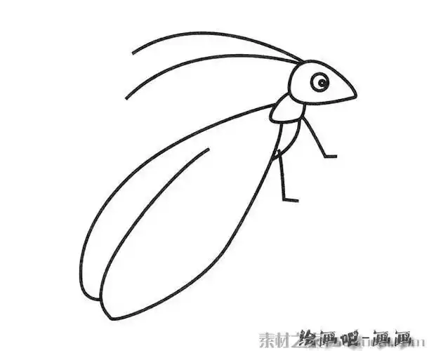 白菜虫子简笔画