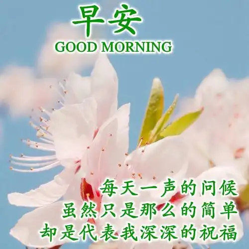 微信清晨值得点赞的早安问候图片温暖人心的早安句子