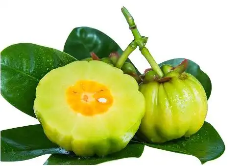 原地踏步三十年:肾结石治疗终于有新突破