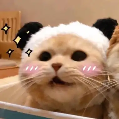 2021萌宠动物闺蜜头像一人一张