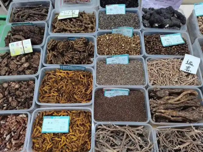 【青春三下乡】步履不停,激昂青春_中药材