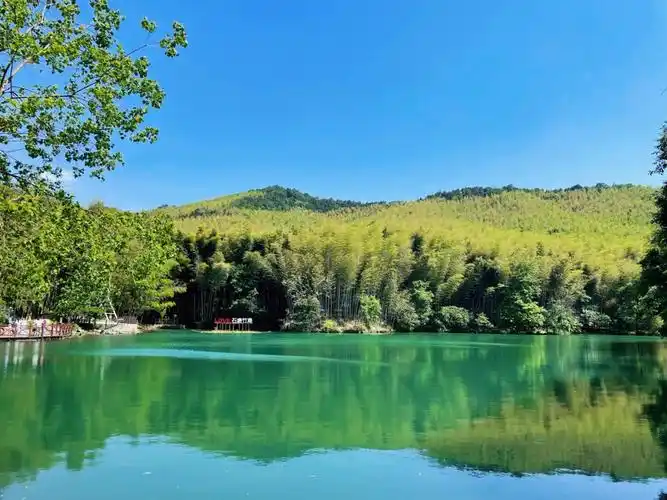 南京周末出游|江宁石塘竹海