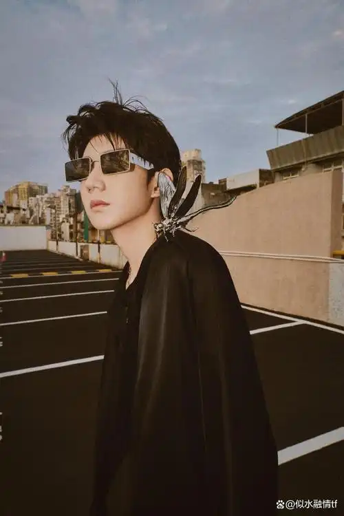 在繁星点点的娱乐圈中,每一个闪耀的明星都代表着一种独特的魅力与