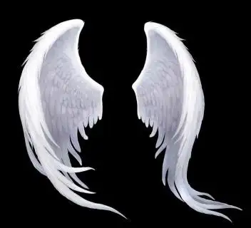 当好接班人 天使翅膀图片psd模版下载 - 菜鸟图库