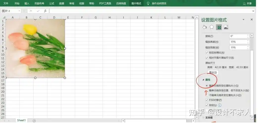 如何在excel表格中插入图片使其刚好填满整个单元格