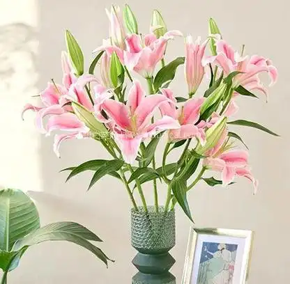 花点时间香水百合鲜花10支券后￥199元包邮