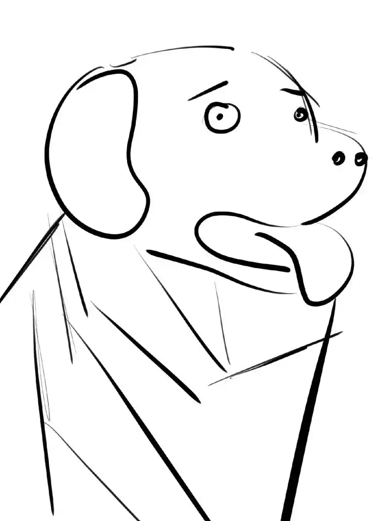 如何简单画出金毛——只需四步骤.#procreate绘画 # - 抖音