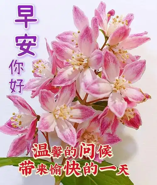 早安漂亮图片问候祝福语
