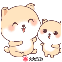 二呆68宠物app微信qq搞笑萌宠物动态表情:抱抱