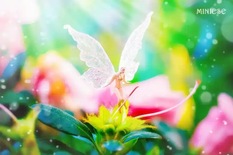 miniese系列之——花仙子 - miniese - 图虫网 - 优质摄影师交流社区
