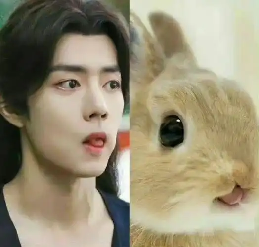 肖战好像长了兔耳朵