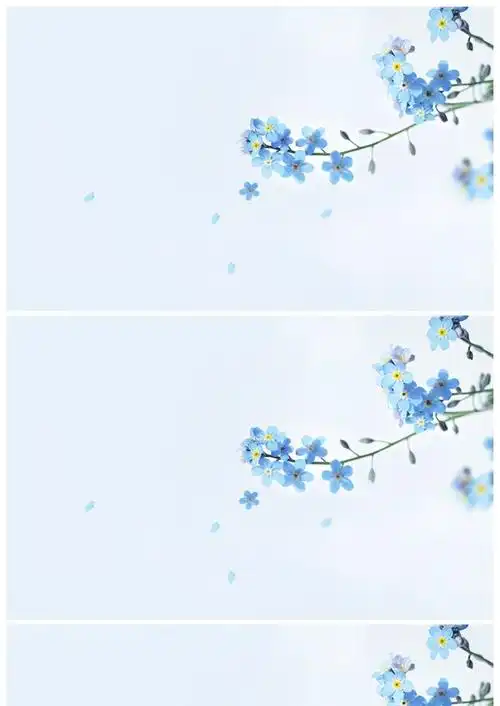 唯美蓝色小花ppt背景图片