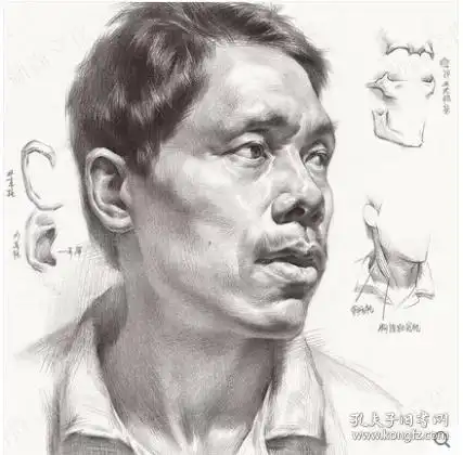 素描头像临摹图片