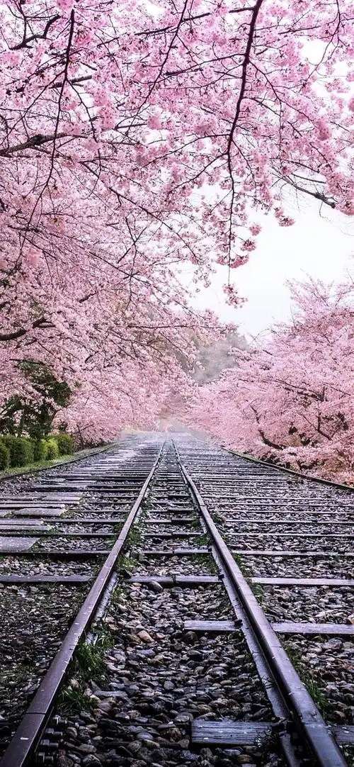 有哪些iphonexr好看的壁纸