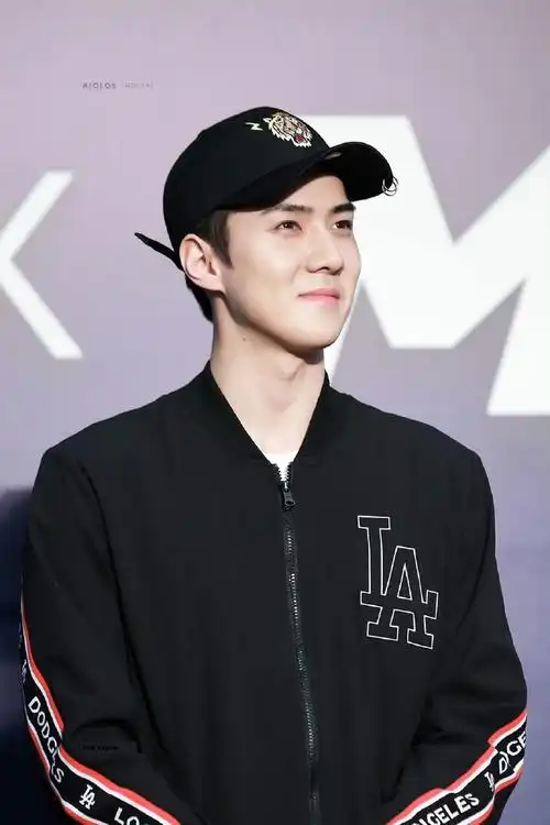 吴世勋##吴世勋宇宙宙草