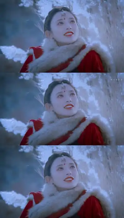 东宫小枫,图源微博失群鸟