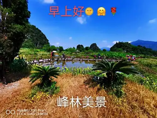 所有的早上好相片