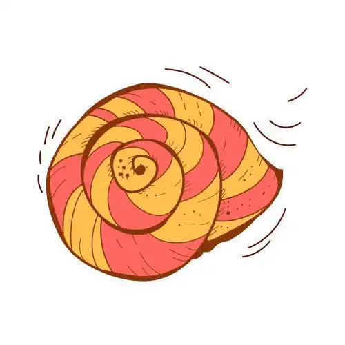 贝壳简笔画教程|可爱的小海螺头像简笔画教程头像简笔儿童简笔画素材