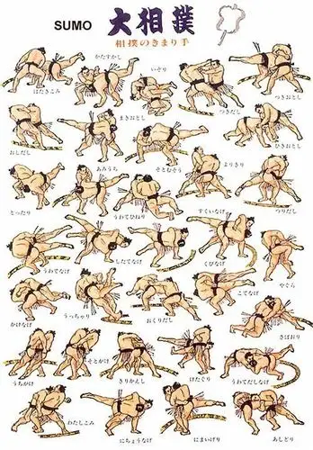 声明:编辑内容部分摘自百度百科相扑词条 图片来自百度图片相扑