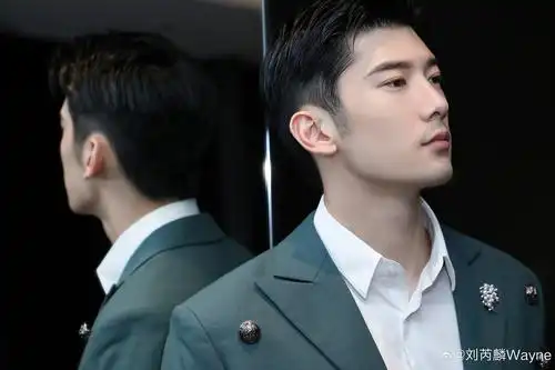 天呐我一直把关智斌的脸记成刘芮麟的