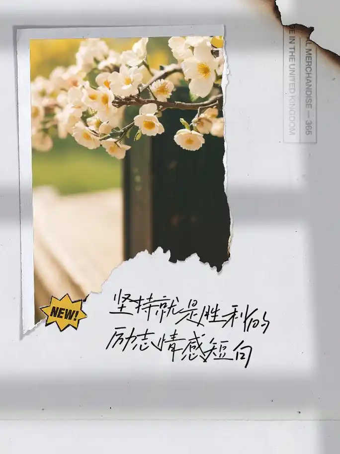 坚持就是胜利的励志情感短句