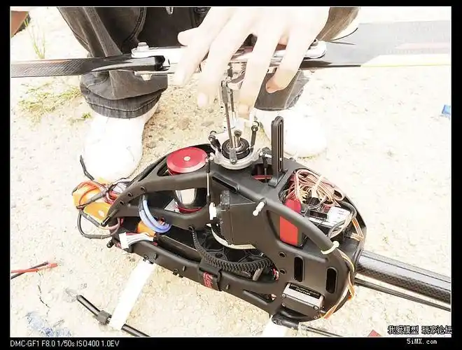 炸狗带高清图片